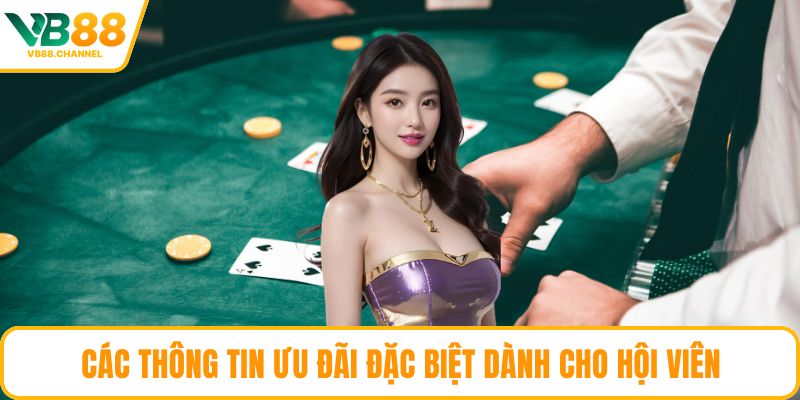 Các thông tin ưu đãi đặc biệt dành cho hội viên