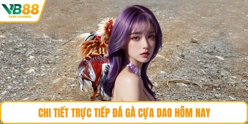 Chi tiết trực tiếp đá gà cựa dao hôm nay