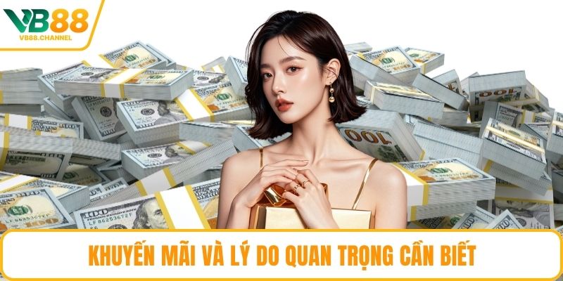 Khuyến mãi và lý do quan trọng cần biết