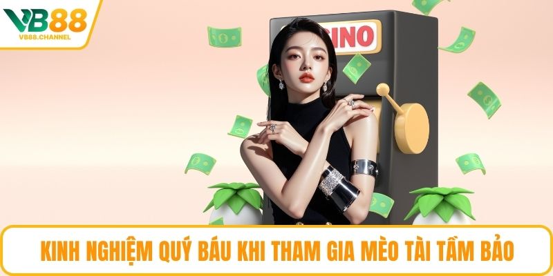 Kinh nghiệm quý báu khi tham gia Mèo Tài Tầm Bảo