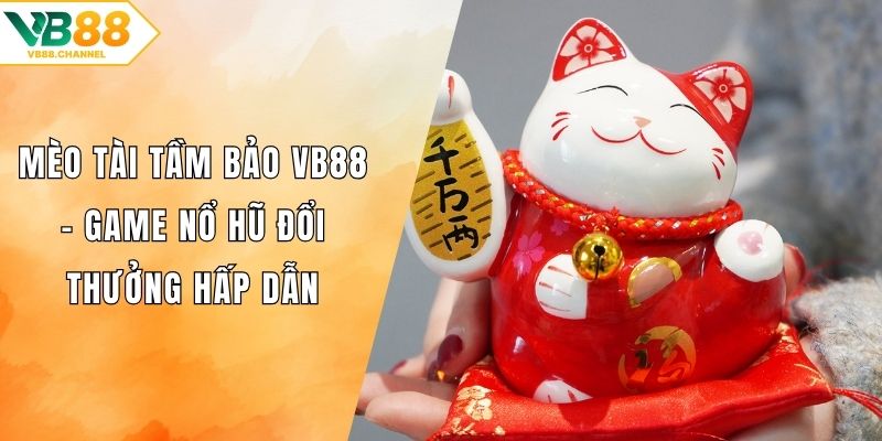 Mèo Tài Tầm Bảo