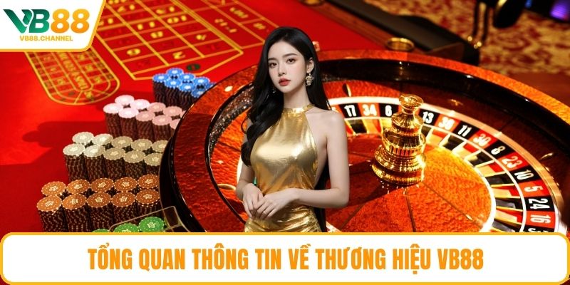 Tổng quan thông tin về thương hiệu VB88